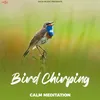 Bird Chirping